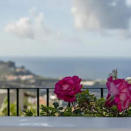 Holiday home Cantinho Da Lourencinha - Madeira Island Camara de Lobos